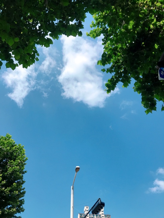 �����ػ��̺���? 20�� �ʳ������ �α⸹�� ��̺���